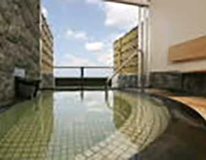 寺泊岬温泉 太古の湯（閉館しました）