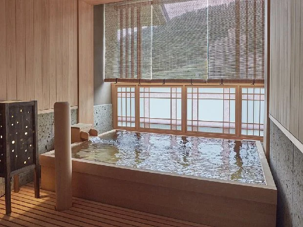 湯けむりの宿 雪の花