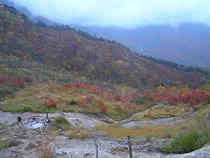 白馬岳蓮華温泉ロッジ