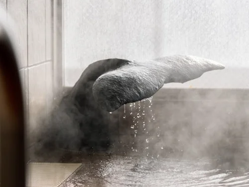 フォトアルバム2