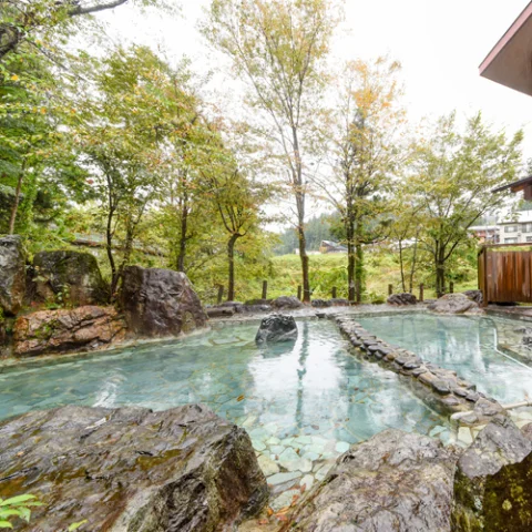 湯の谷温泉郷 ホテル ゆのたに荘 - 新潟県