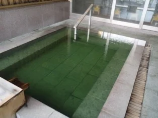 ぬくもりの宿 翠玉の湯 佐取館