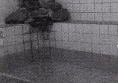 池の平温泉 宿 なごみ荘 - 新潟県