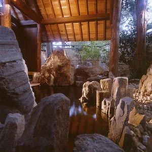 Cozy Inn Komatsuya - Niigata