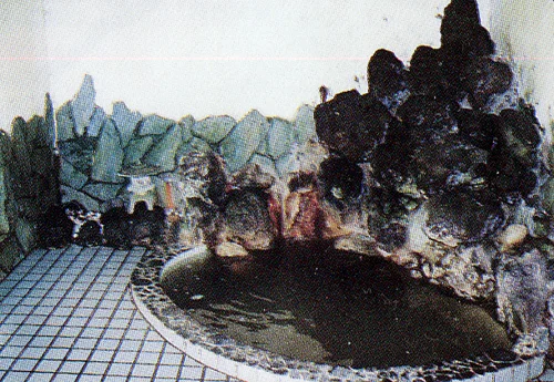 長生館 - 新潟県