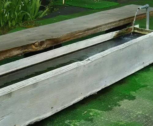 フォトアルバム6