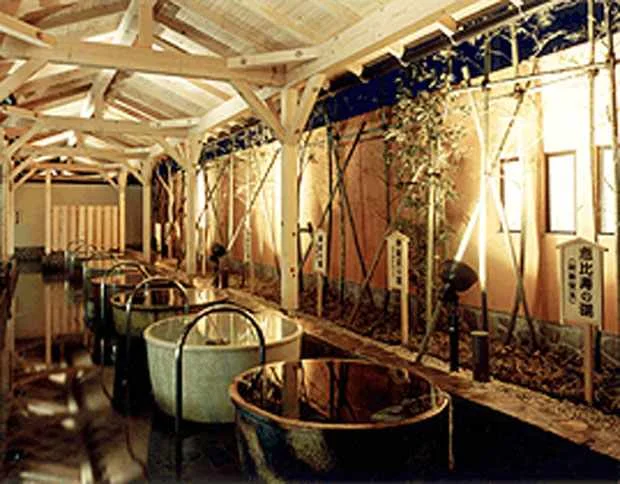 野天風呂 七福の湯 上越店（のてんぶろ　しちふくのゆ）