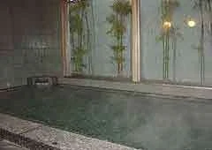 天然温泉 影虎の湯 スーパーホテル新井・新潟 - 新潟県