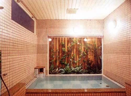 Hotel Vallee Village - Echigo Yuzawa - Niigata