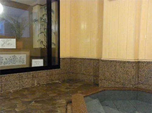 Echigo Yuzawa Hotel New Mondo - Niigata