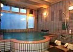 Hotel Alphastar Iwahara - Yuzawa, Niigata - Niigata