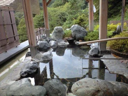 蓬平温泉 和泉屋（よもぎひらおんせん）