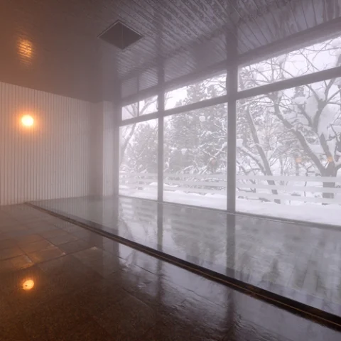 大湯温泉　大湯ホテル - 新潟県