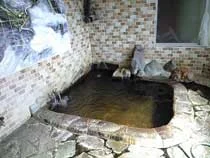 鹿渡温泉 鹿渡館（閉館しました）