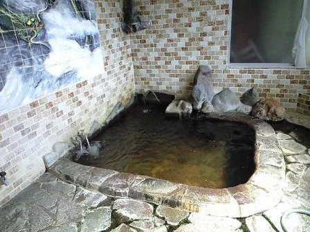 鹿渡温泉 鹿渡館（閉館しました）