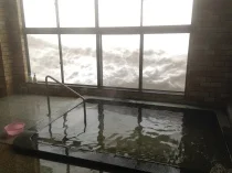 Ueno Mine Onsen Therapy Spring 'Naka no Yu' - Niigata