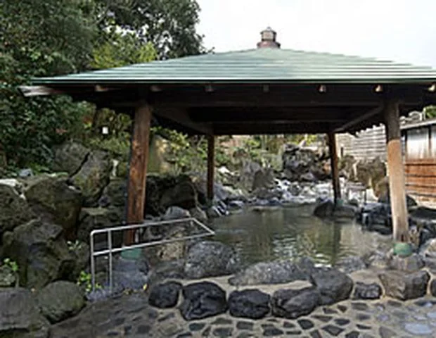 野天風呂 湯元龍泉