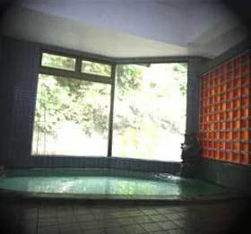 越後松之山温泉　旅館明星