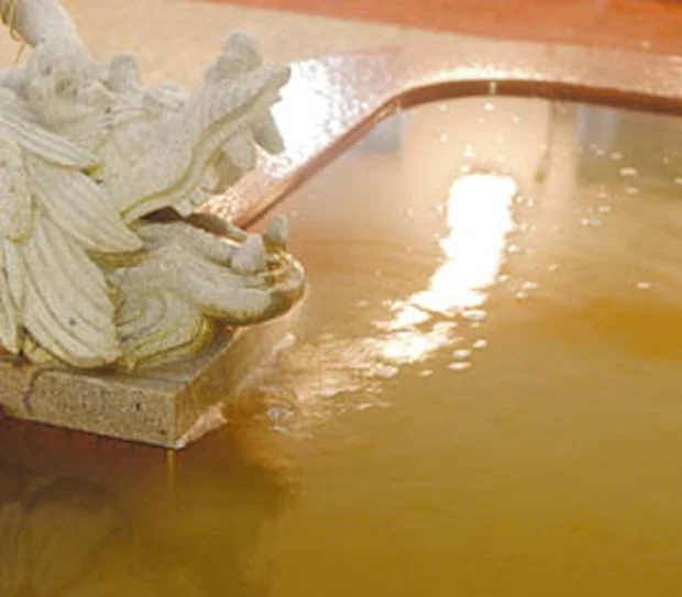 漢方薬湯 旭川健康ランド(閉館しました)