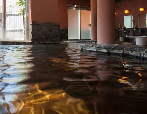 竜ヶ窪温泉 竜神の館(休業中)