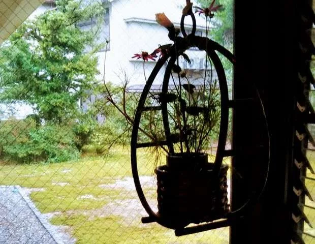 生地温泉　たなかや