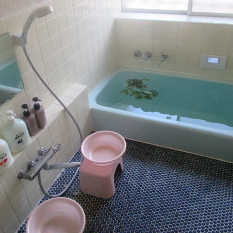 Gakuyama Yoshinoya Ryokan - Toyama