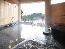 九殿浜温泉 ひみのはな