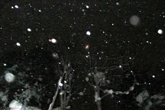 吹上露天の湯