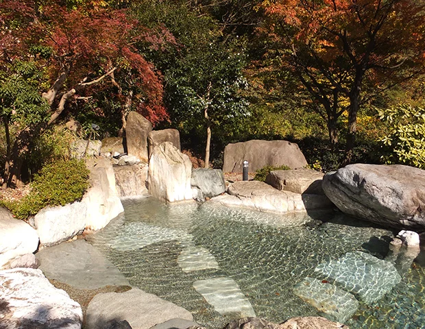 おまき温泉スパガーデン和園（休業中）