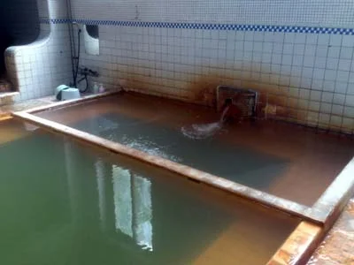 鯉川温泉（こいかわおんせん）（休業中）