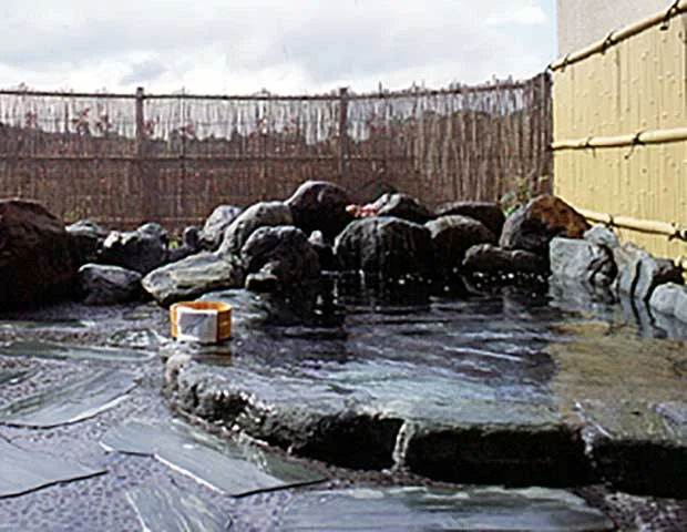 八尾ゆめの森 ゆうゆう館