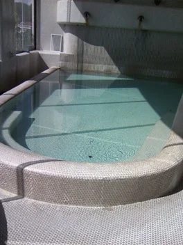 アローザ温泉野草の宿来夢(閉館しました)