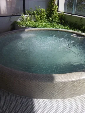 アローザ温泉野草の宿来夢(閉館しました)