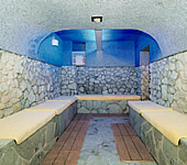 北陸健康センターアラピア（閉館しました）