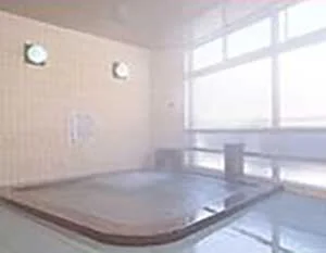 川合田温泉 山田家