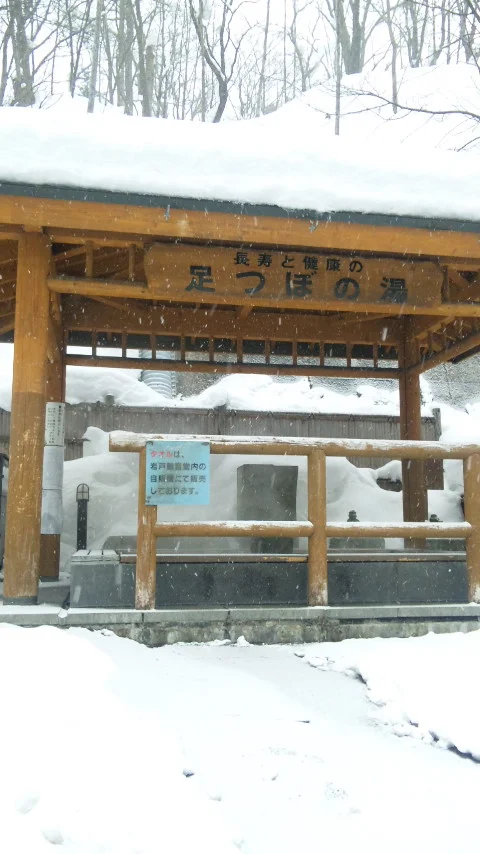 Longevity and Health Foot Bath Hot Spring - Hokkaido