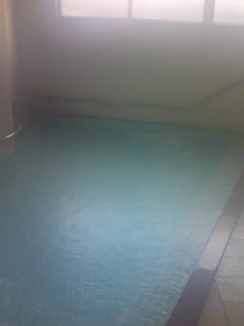 宇奈月温泉会館（閉館しました）