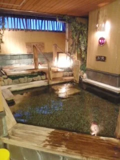 ドーミーインPREMIUM札幌 （旧ドーミーイン札幌本館）