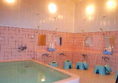 Wild Boar, Deer, Duck, Pheasant Cuisine Inn - Hot Spring Minshuku Matsukaze - Ishikawa