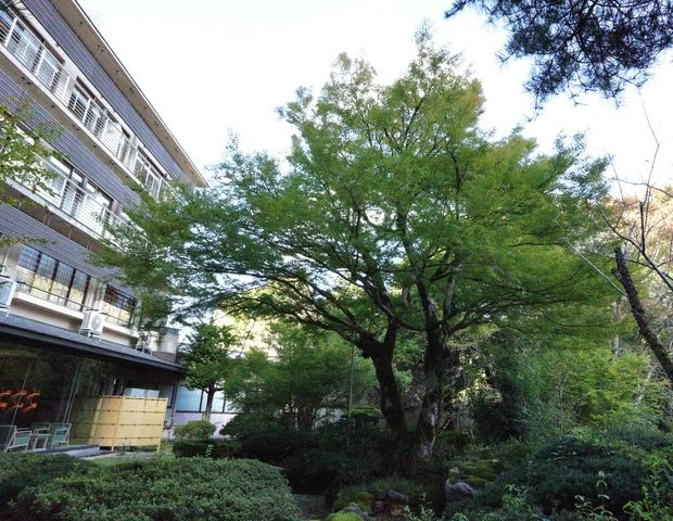 満天ノ 辻のや（旧 辻のや 花乃庄）