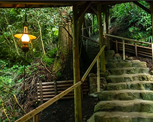 フォトアルバム4