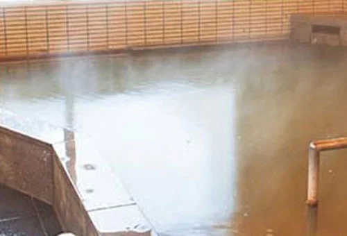 フォトアルバム1