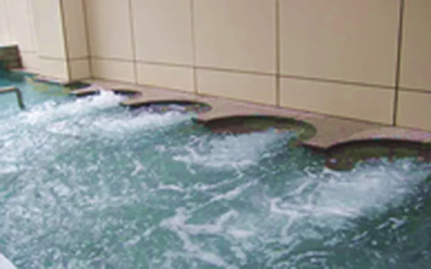 山中温泉ゆけむり健康村 ゆーゆー館(休業中)