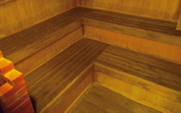 山中温泉ゆけむり健康村 ゆーゆー館(休業中)