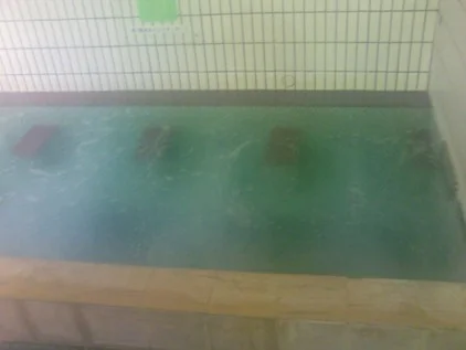 ぽかぽか御経塚の湯