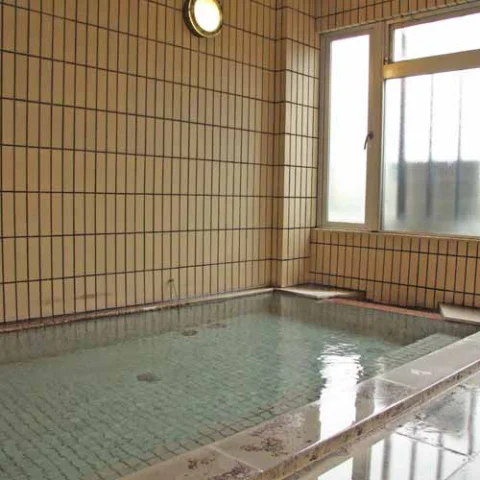 Hakusan Ichi-Rino Onsen Hotel Gooin - Ishikawa