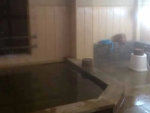 中宮温泉 木戸旅館(閉館しました)