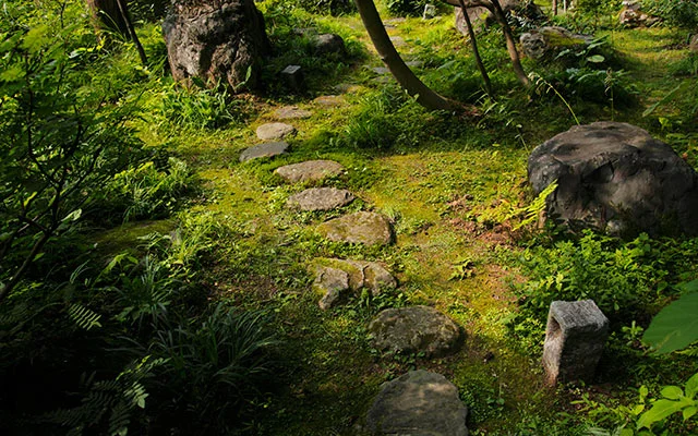 γγ©γγ’γ«γγ 9