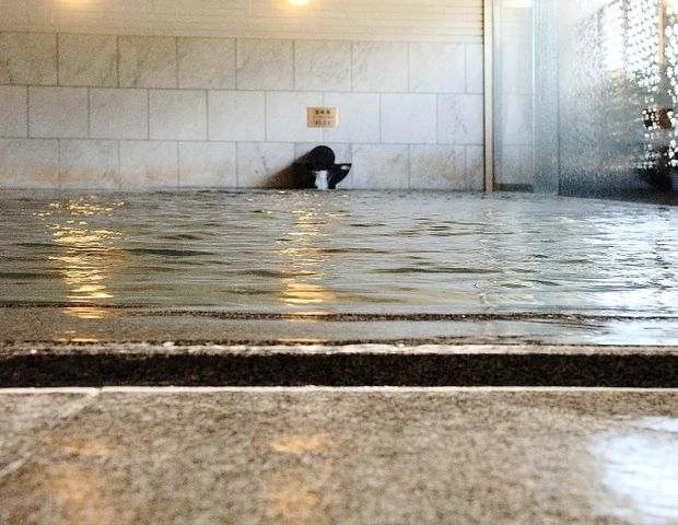 ウェスティンルスツ温泉