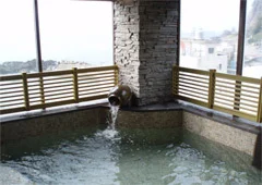 越前海岸 玉川の宿 岩本屋 - 福井県